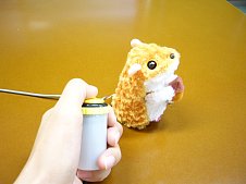 くるっちょハムちゃんの写真