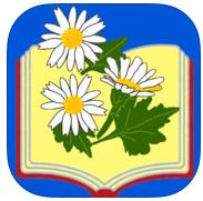 「のじぎく」シンプル デイジープレイヤーのロゴ