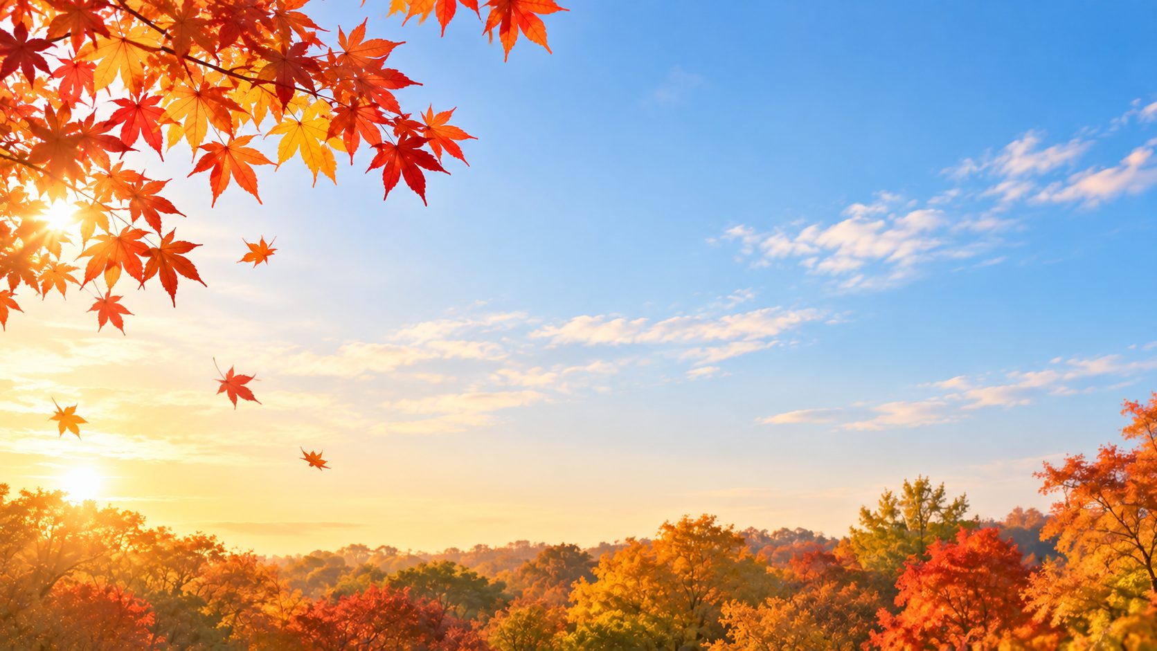 秋の空と、紅葉した紅葉が写った画像